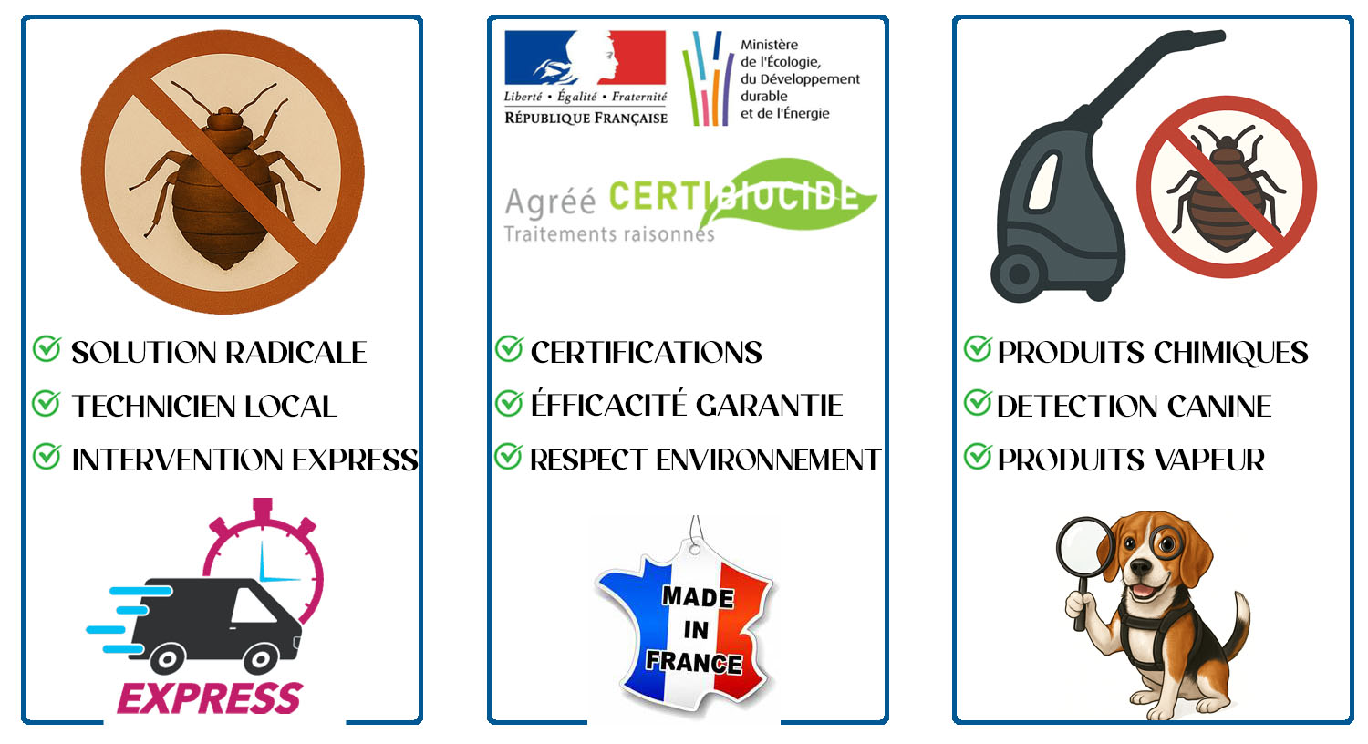 Punaises de Lit Bourg la Reine