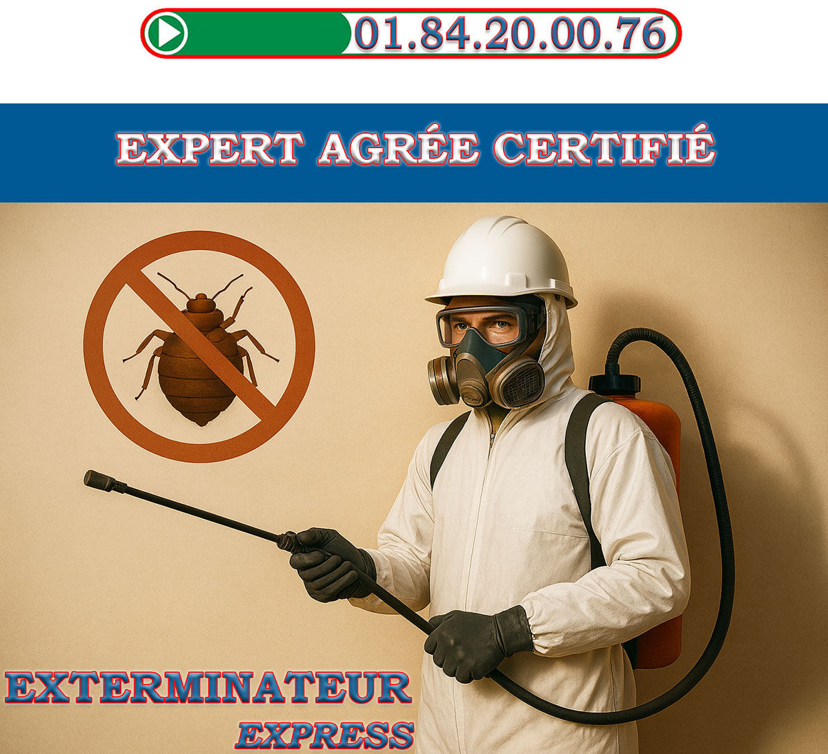 Punaises de Lit Bourg la Reine